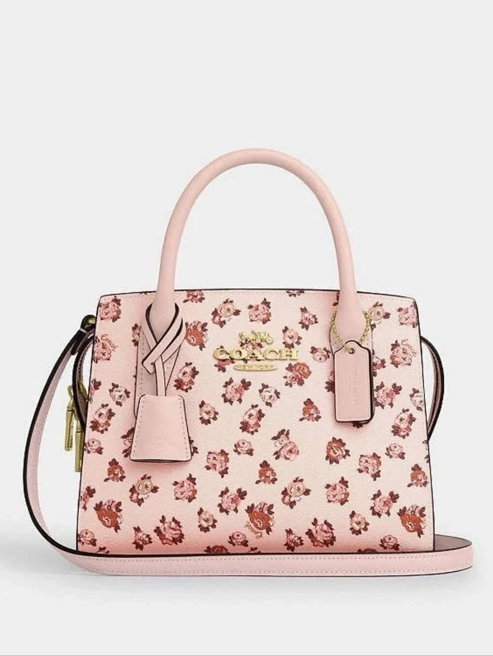 Coach andrea carryall